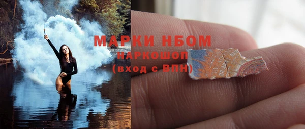 apvp Горняк