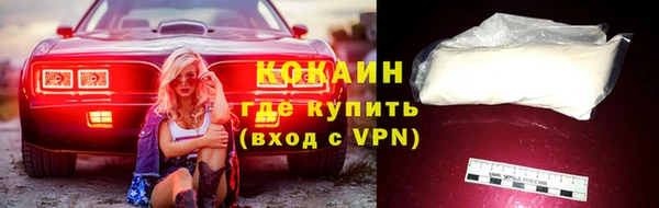 apvp Горняк