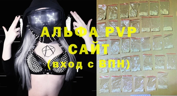 apvp Горняк