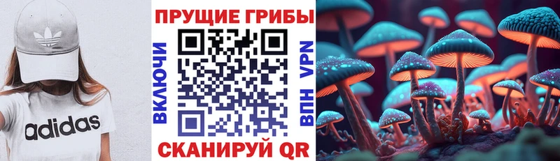 Купить закладки  Тавда  Псилоцибиновые грибы прущие грибы 